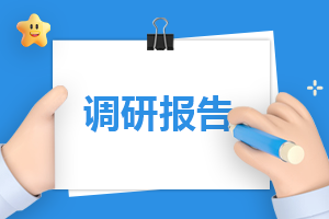 2025市场调研报告模板