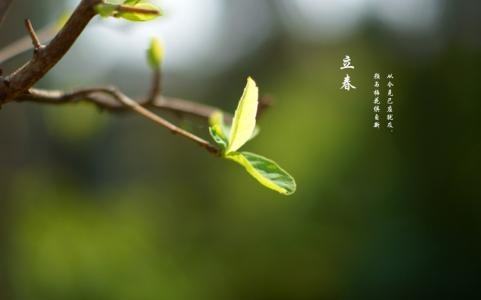 生肖划分是从立春还是除夕来算2023_生肖是看立春还是除夕