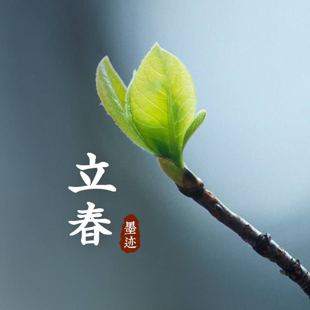 立春过后天气还会冷吗_立春过后还会冷多久