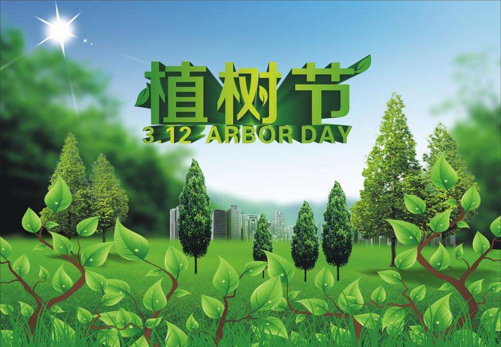 2023幼儿园植树节活动方案精选（3篇）