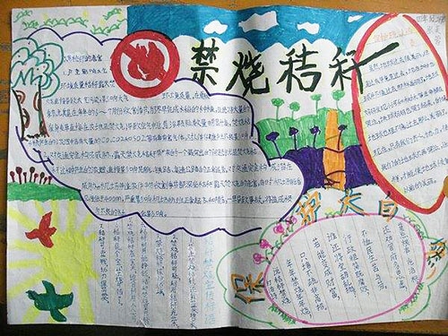 2025世界环境日手抄报好看又简单_世界环境日手抄报精美设计模板刚刚5篇