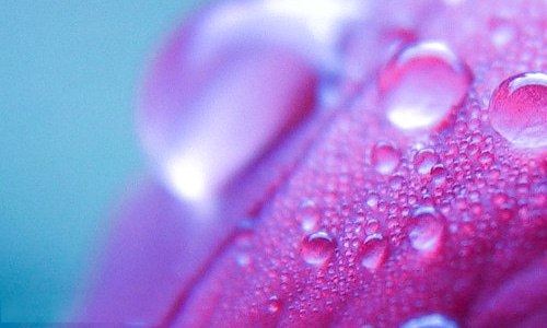 2025安全生产月横幅标语_安全生产月宣传口号200句