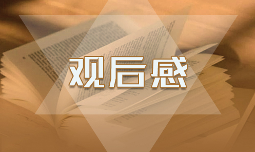 2025“奋斗的荣光”—扶贫队长丁铁刚先进事迹宣讲会观后感