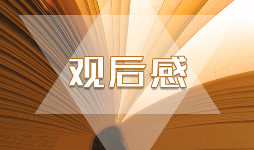观看2025扶贫队长丁铁刚先进事迹宣讲心得体会5篇
