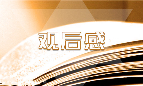2020战疫一线党旗红观后感5篇最新