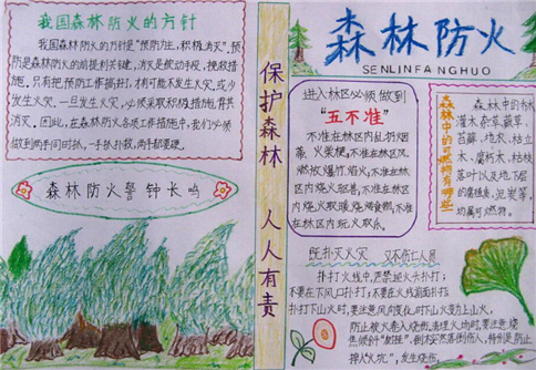 2026森林防火手抄报第一名