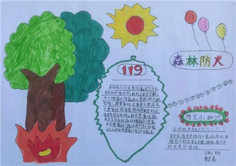 2026森林防火手抄报图片大全