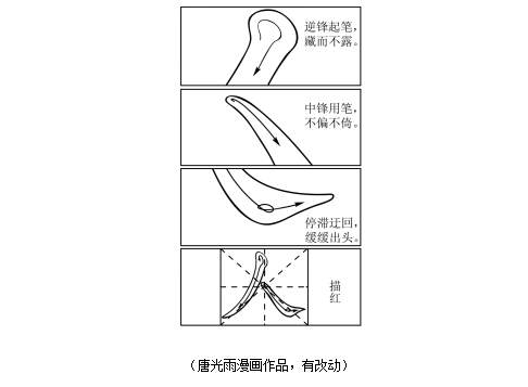 2021全国新高考Ⅱ卷作文题目