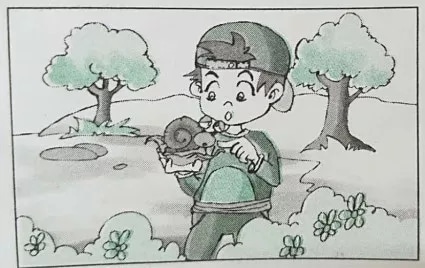 二年级看图写话范文20篇