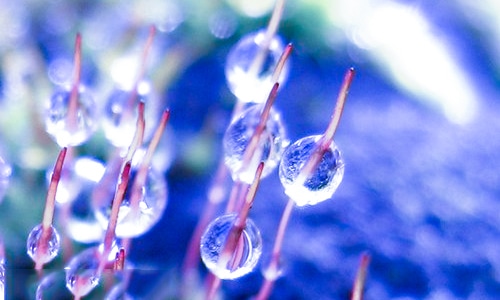 四年级观察日记范文10篇