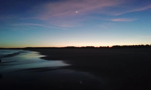 什么让生活更美好作文600字