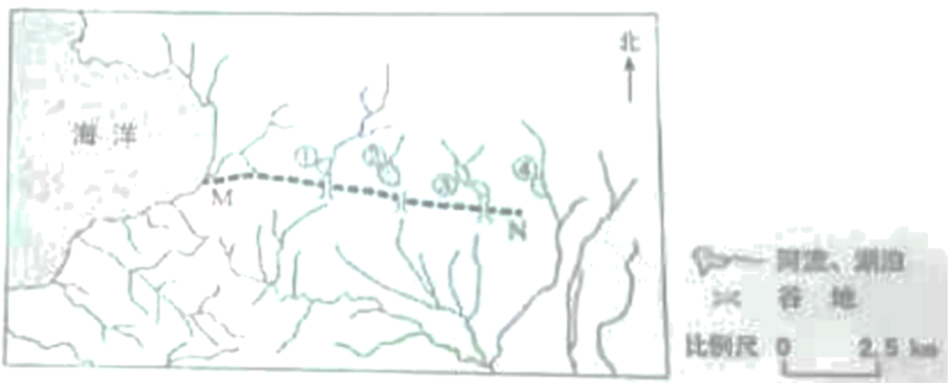 2025年高考全国甲卷文综答案及真题汇总