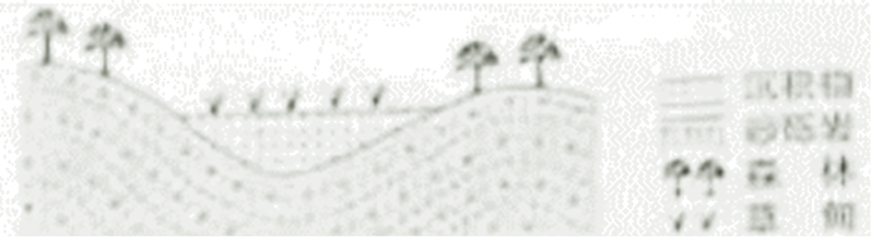 2025年高考全国甲卷文综答案及真题汇总