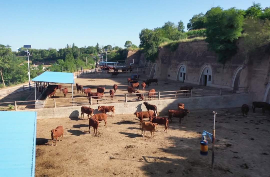 2025年高考全国甲卷文综答案及真题汇总