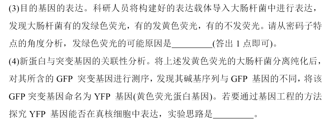 2025全国乙卷高考理综试题