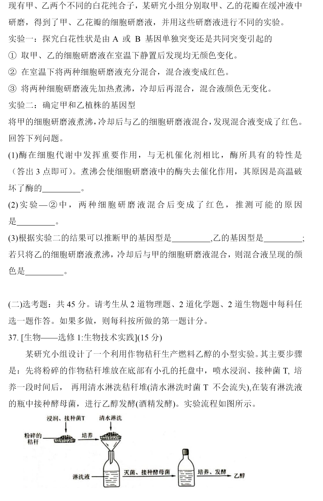 2025全国乙卷高考理综试题