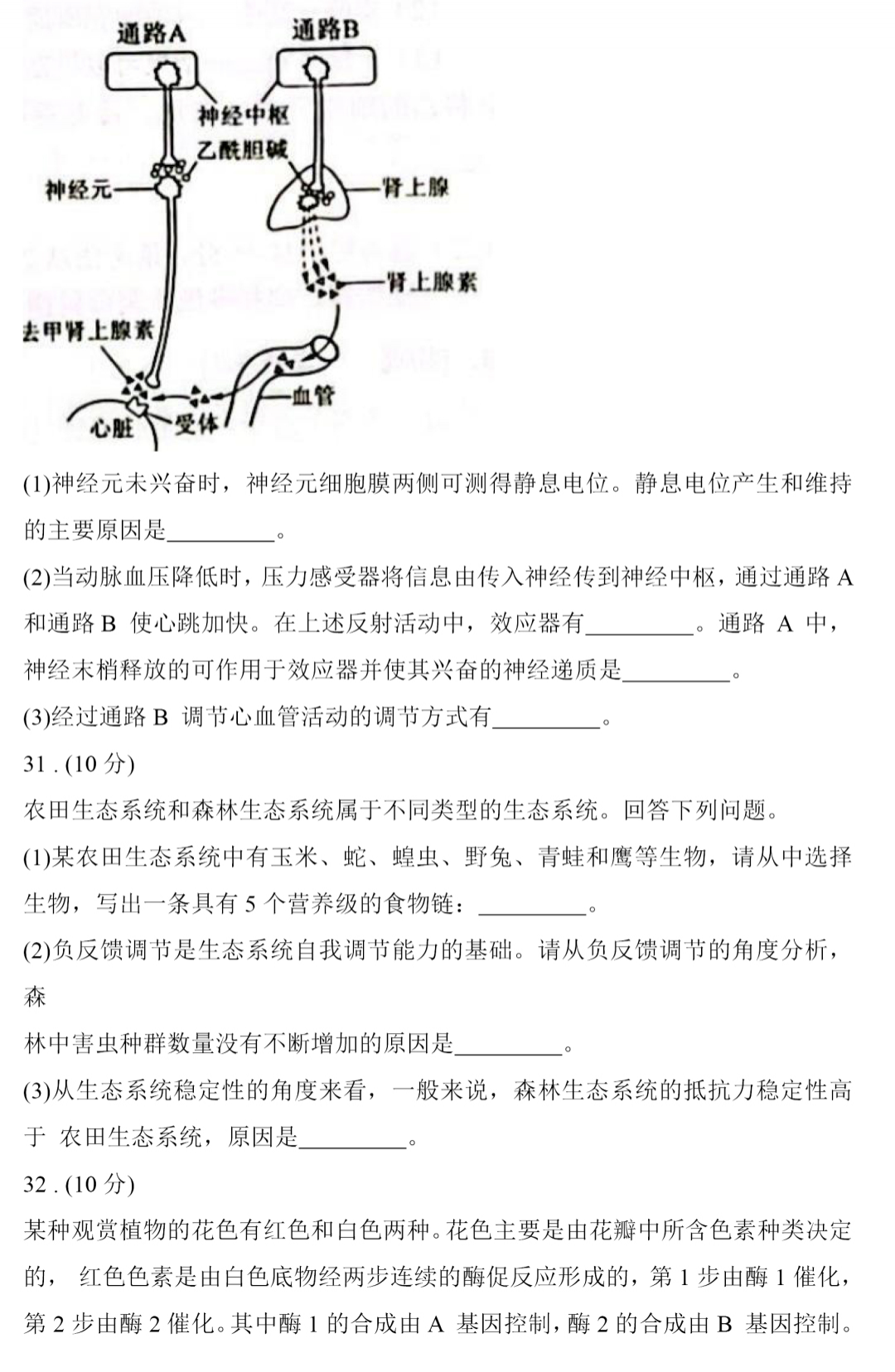 2026高考理综乙卷生物试题原题