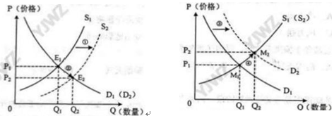 2025年全国乙卷政治高考真题及答案解析