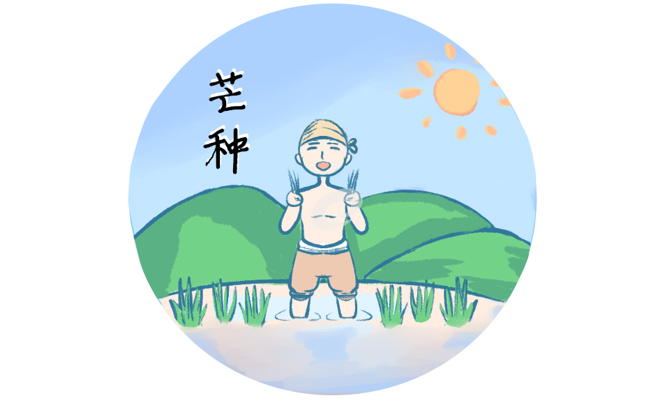 芒种节气短信祝福语