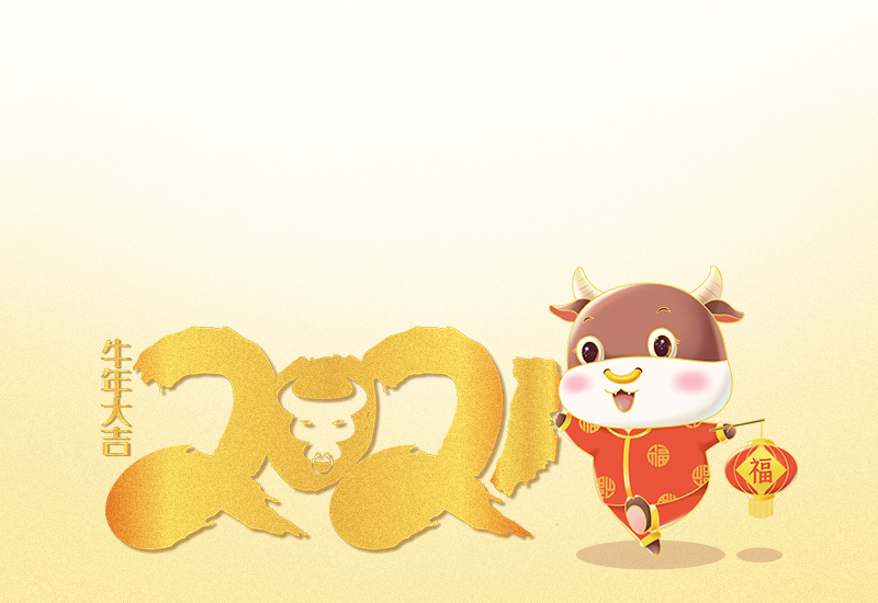 幼儿园庆元旦创意活动方案2025