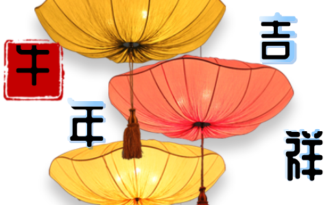 2025庆牛年元旦欢乐活动方案5篇大全
