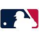 MLB棒球