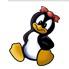 Linux安全网