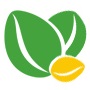 金昌盛种植